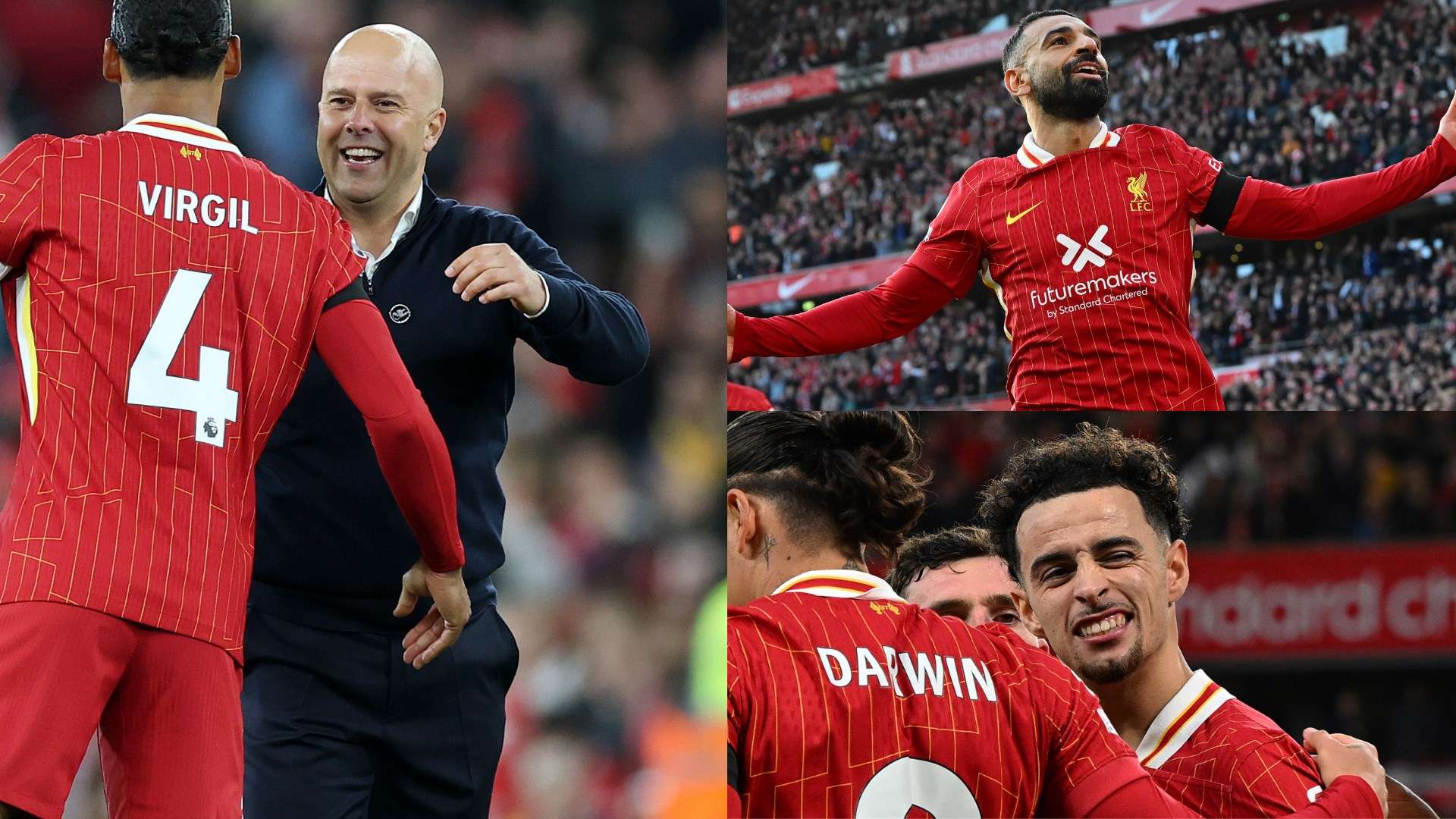 的职业生涯 的职业生涯