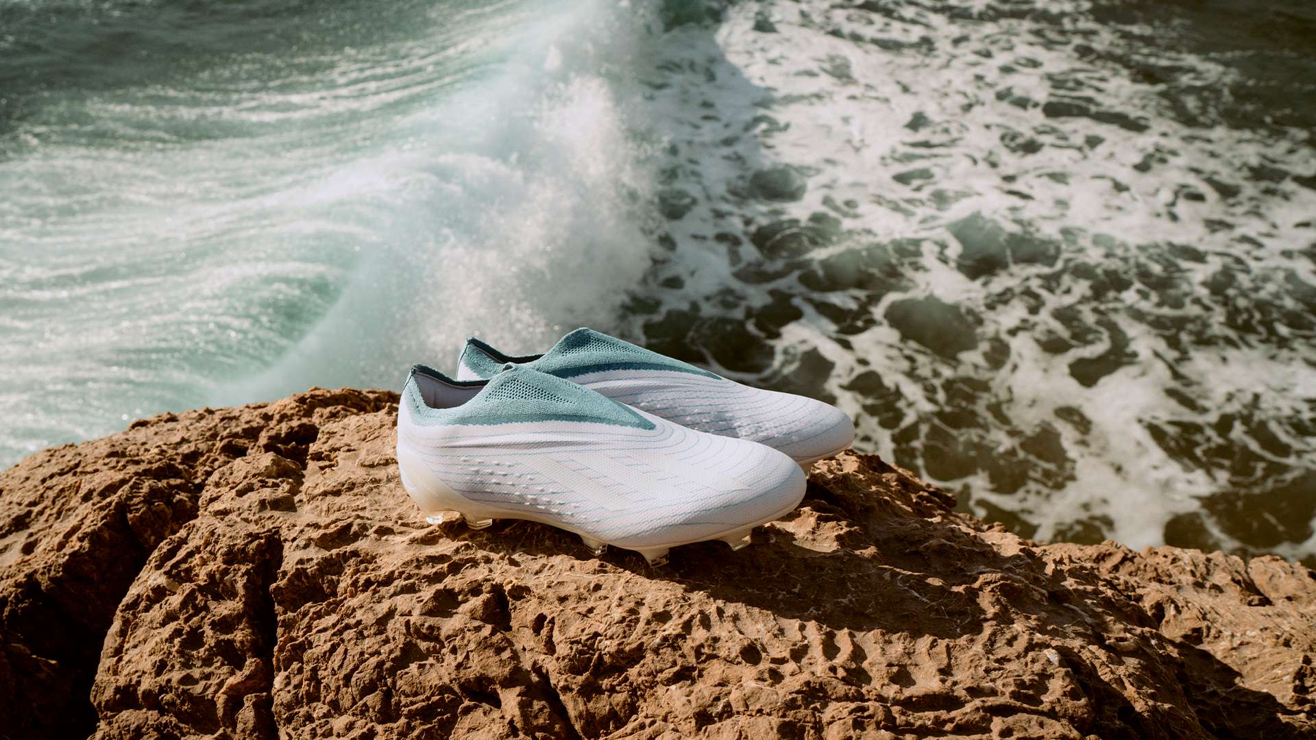 席也可能影 席也可能影