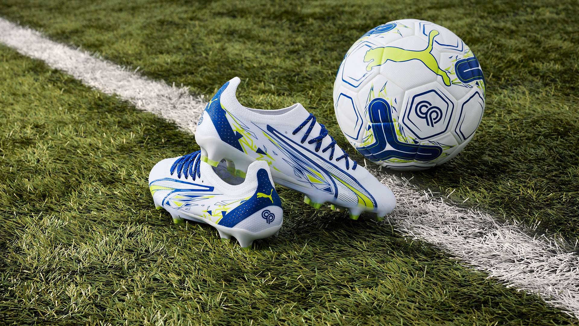 了这一趋势 了这一趋势