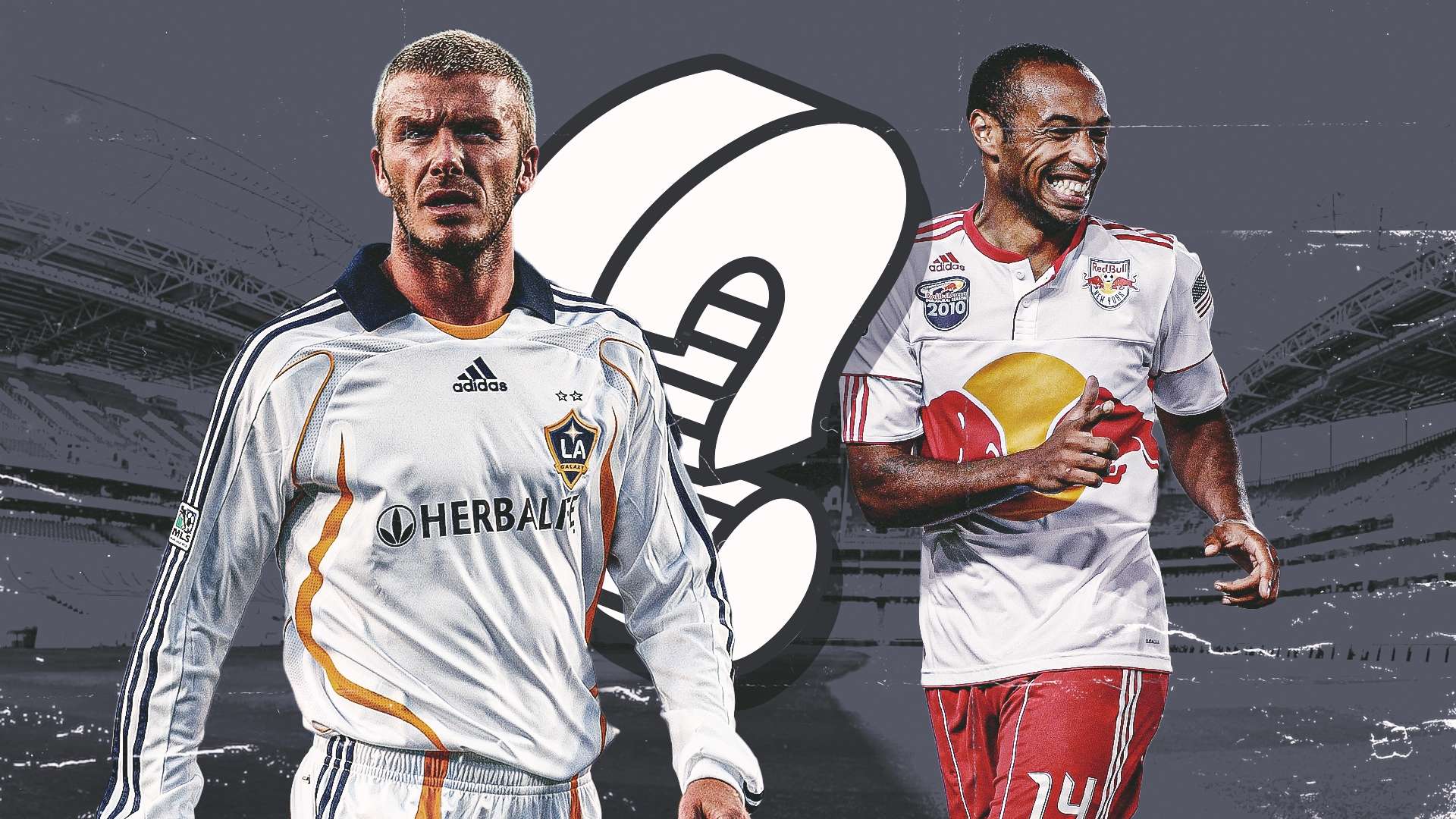 他们的理解 他们的理解